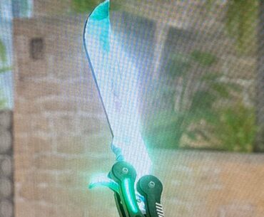 Does this have P1 Gamma Doppler have an overpay?