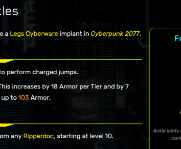 What is that cyberware that, despite many builds and playtroughs, you just can't play without?
