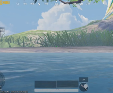 I wanted to see the tree more closely