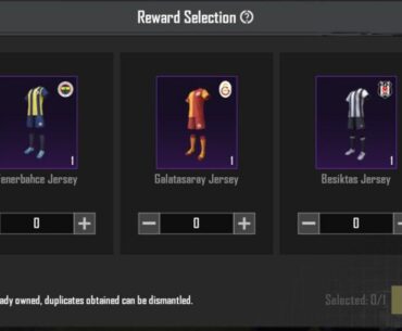 Which one looks decent?