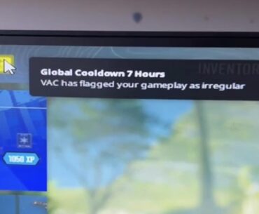 My game suddenly ended then I got this cooldown?