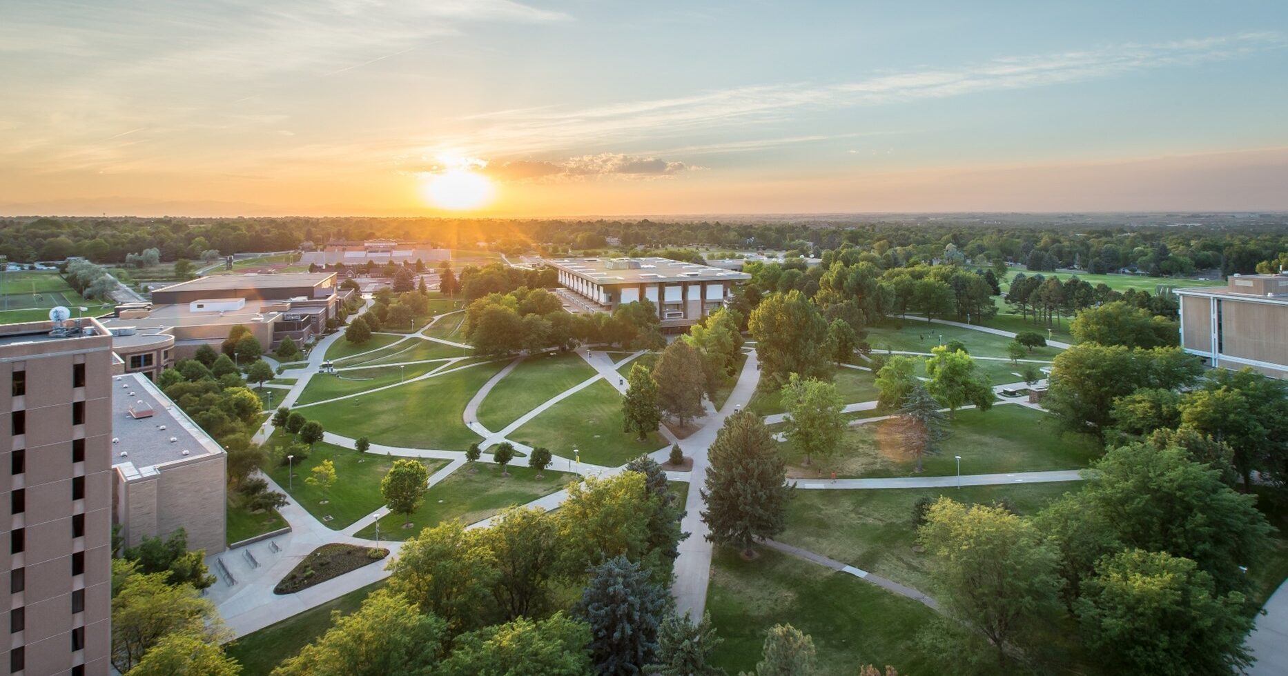 Bears Take Their Game — and Their Bond — Overseas Bears Take Their Game — and Their Bond — Overseas