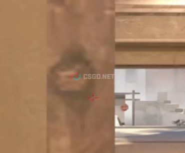 What is this bro looking at?