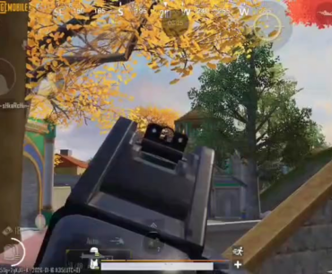 What do you think?