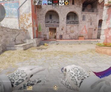 What knife you think is better for Snow Leopards gloves and for my inventory?