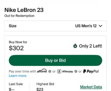 LeBron Pack-a-punch shoes