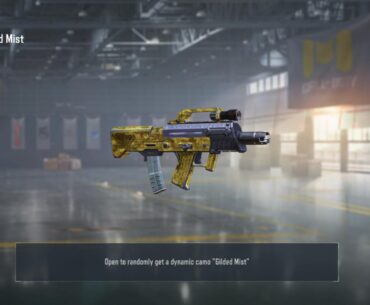 About the new camo gilded mist from the secret caches (see body text)