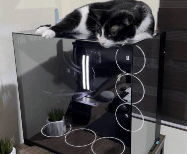 Cat on PC airflow solution: Case without fans on top