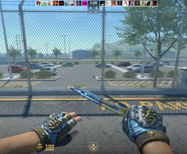 Trying to trade my combo for a Karambit safari or forest DDPAT FT going by float prices