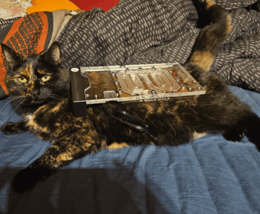 I waterblocked my graphics cat