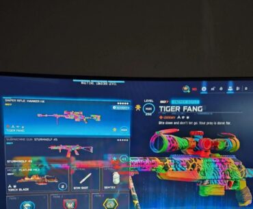 How many of you have the Hawker HX maxed out level 250?