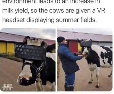 Why does this make me think of THAT quest?