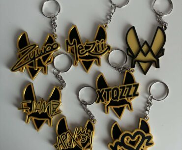 I made Vitality Keychains with all Players and coach