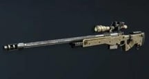 [COD] Blops 2 vs Ghosts. Day 15.  L115 or DSR 50