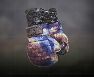 Ryu gloves sound effect and camo issue