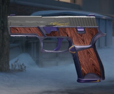 Eleganza P250 for Spy Tech (Call to arms) W or L ?