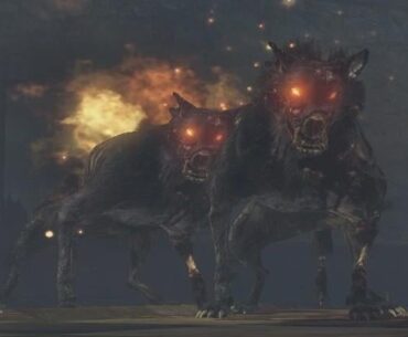 Every map which has the dogs has an infinite damage wonder weapon