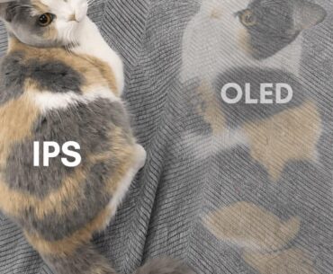 IPS vs. OLED explained for the car enthusiasts *after 5 years of productivity use