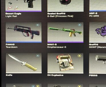 Counterstrike2