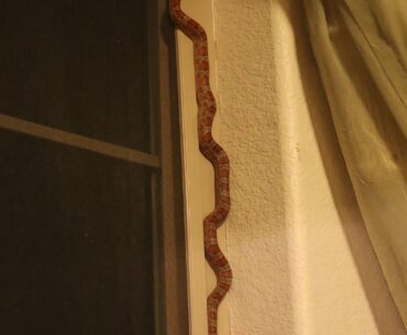 When you spend an hour scaling a cliff only to find the edge of the map.