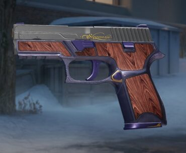 Eleganza P250 for Spy Tech (Call to arms) W or L ?