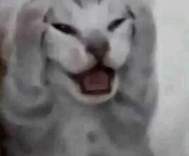 Just learned Panam is straight