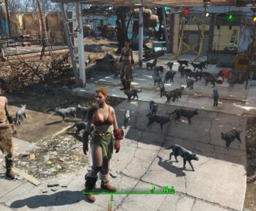 Making a cat haven in Fallout's post-apocalypse