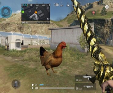 Is anyone gonna talk about how big these chickens are?😭
