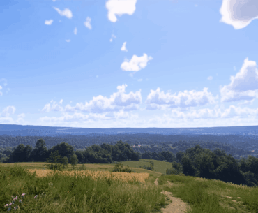 I took this landscape screenshot in Kingdom Come Deliverance 2. The enviroment in this game is so beautiful