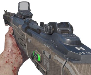 BO3: How do you all feel about this gun?