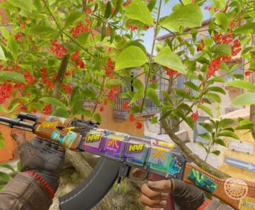 My Endgame AK