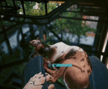 One more reason I'm not getting to Embers anytime soon
