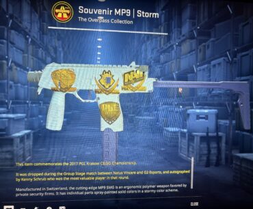 Is this souvenir MP9 worth anything?