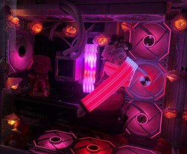 Early Valentines Build