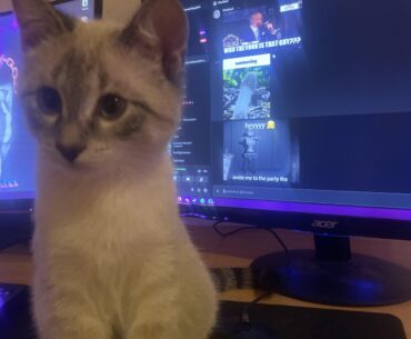 Where update