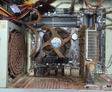 Had a customer come in telling me their PC was slow...