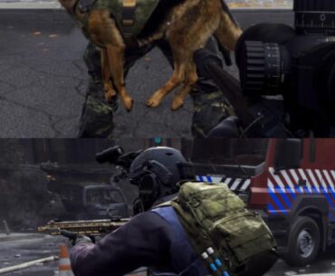 help is needed, what is this skin called? [cod]