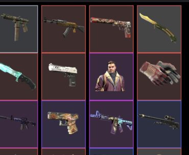 looking for upgrade my ak and usp or any good offers my trade link⬇️⬇️