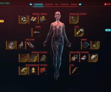 Am I Ready To Meet Aurore? Will She Be Impressed?