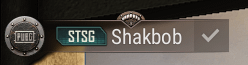 What does the parachute icon over my name mean?