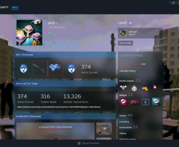 DO NOT PLAY CS RIGHT NOW