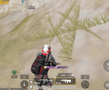 What's with these satanic grass patches all over?