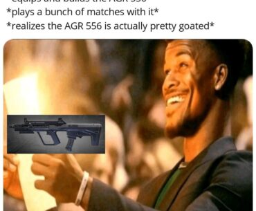 the AGR 556 is CRIMINALLY underrated holy molly.