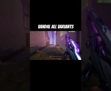 All VANDAL Variants - Solar Stride #valorant