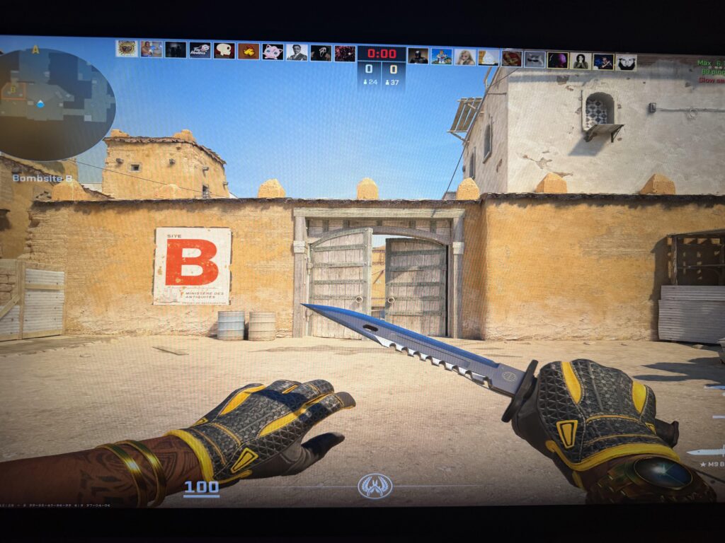 What do I buy first for combo? Min wear omega gloves? Or vanilla m9 ? Then I’ll buy the other around a month later