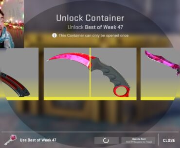 BEST CASE OPENINGS IN COUNTER-STRIKE 2 (WEEK 47)