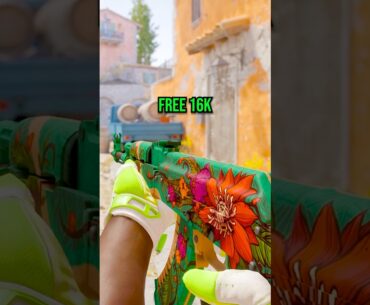 he made $16k from this cs2 skin