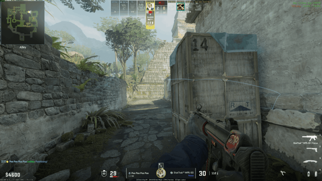 What is the little iridescent "CS" badge next to the gun name, at the bottom-centre?