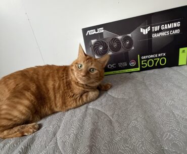cat or graphics card?