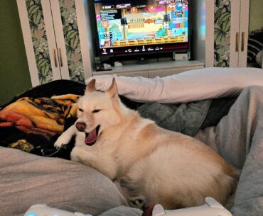 Me and the wife's steam link bedroom setup